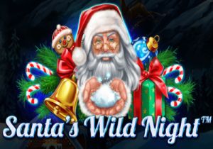 General information about Santa's Wild Night slot