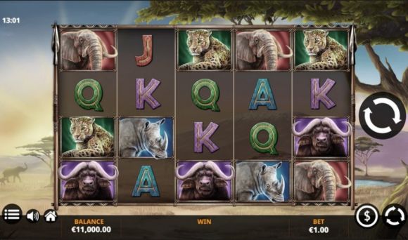 Savanna Roar