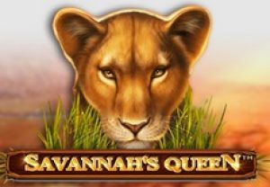 General information about Savannah's Queen slot