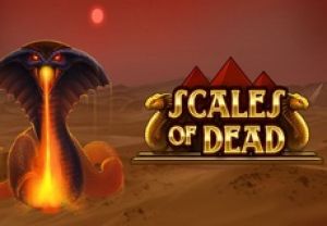 General information about Scales of Dead slot