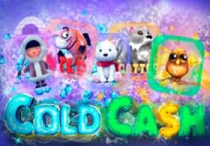 General information about Cold Cash slot