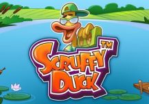 Scruffy Duck