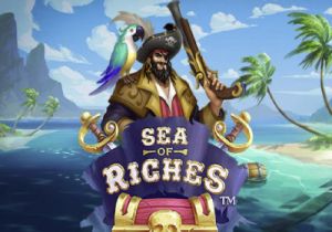 General information about Sea of Riches slot