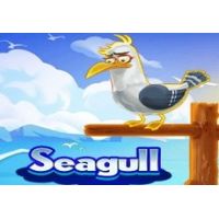 Seagull