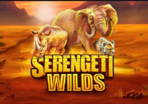 General information about Serengeti Wilds slot