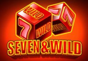 General information about Seven & Wild slot