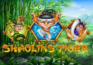 General information about Shaolin's Tiger slot