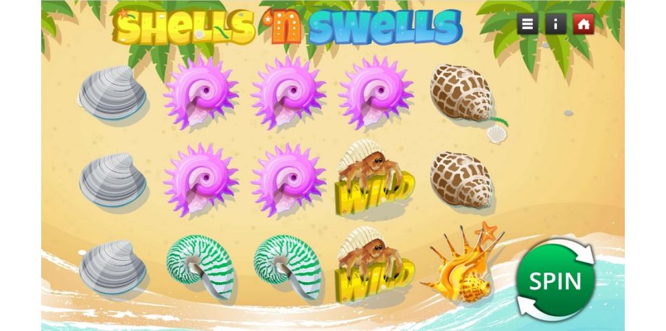 Shells N Swells