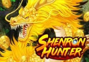 General information about Shenron Hunter slot