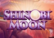 Shinobi Moon