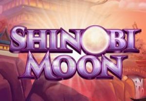 General information about Shinobi Moon slot