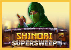 Ninja Slot Review, Demo & Free Play