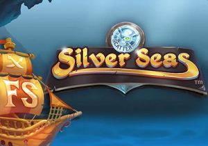 General information about Silver Seas slot