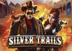 General information about Silver Trails slot