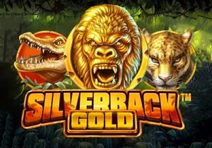 General information about Silverback Gold slot