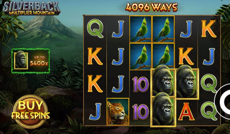 Silverback: Multiplier Mountain