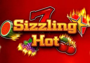 General information about Sizzling Hot slot