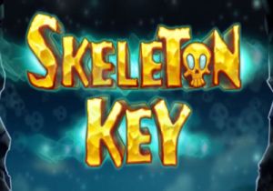 General information about Skeleton Key slot