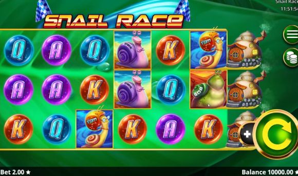 Snail Race