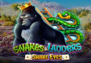 General information about Snakes & Ladders Snake Eyes slot