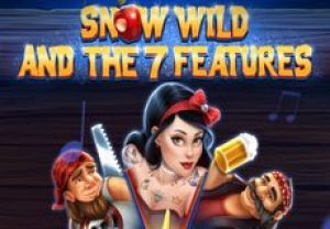 General information about Snow Wild and the 7 Features slot