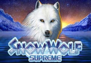 General information about Snow Wolf Supreme slot