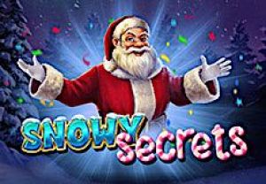 General information about Snowy Secrets slot