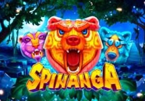 General information about Spinanga slot