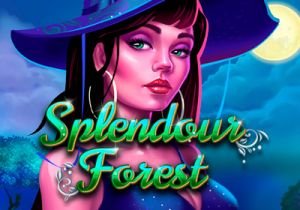 General information about Splendour Forest slot