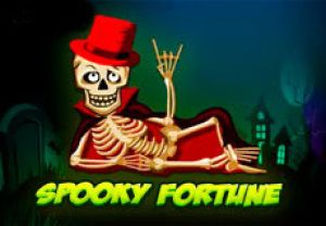 General information about Spooky Fortune slot