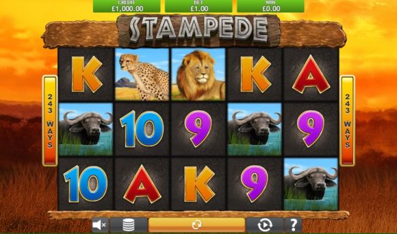 Stampede