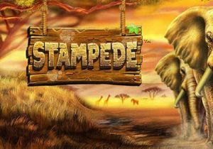 General information about Stampede slot