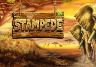 General information about Stampede slot