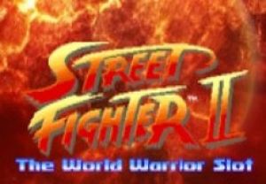 General information about Street Fighter 2: The World Warrior slot