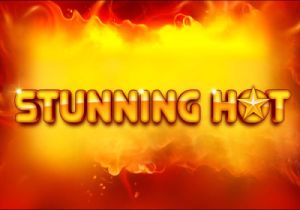 General information about Stunning Hot slot