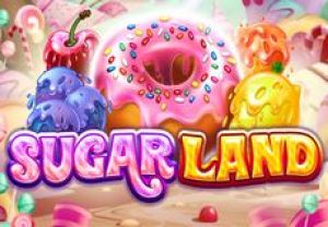 General information about Sugar Land slot