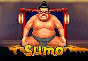 General information about Sumo slot