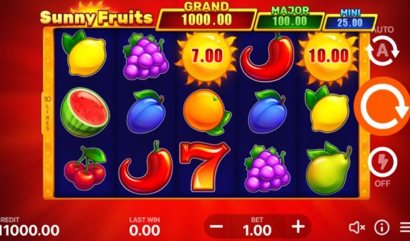 Sunny Fruits: Hold and Win