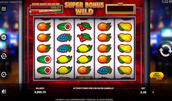 Super Bonus Wild