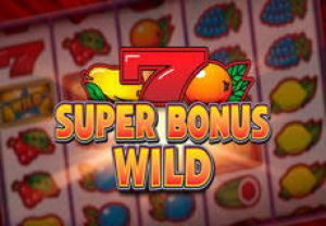 General information about Super Bonus Wild slot