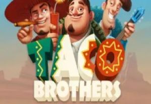 General information about Taco Brothers slot