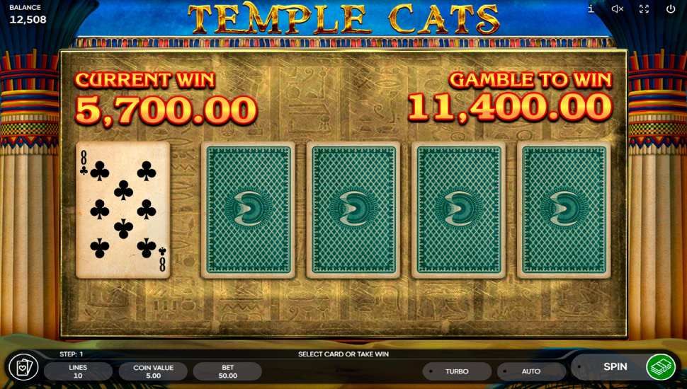 Temple cats slot - Risk game