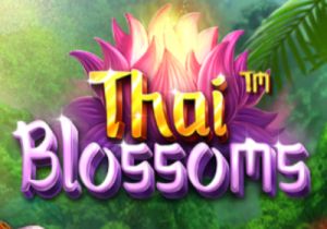 General information about Thai Blossoms slot