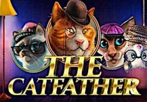 General information about The Catfather slot