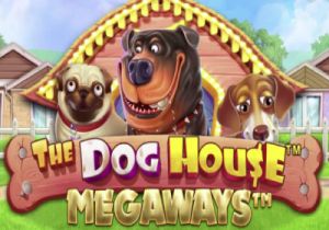 General information about The Dog House Megaways slot