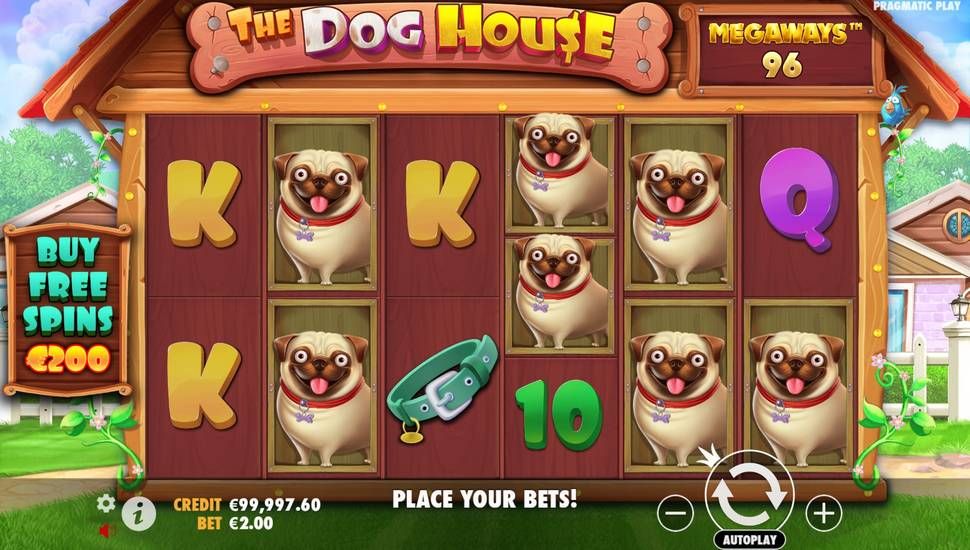 The Dog House Megaways slot gameplay