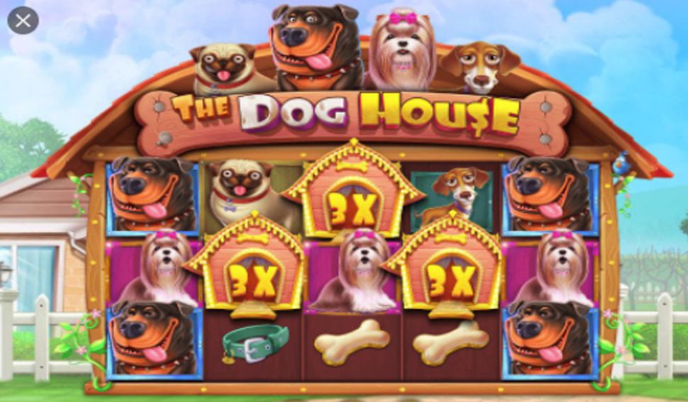 The Dog House