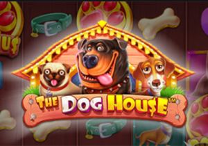 General information about The Dog House slot