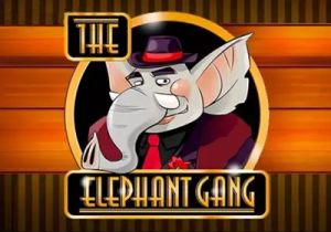 General information about The Elephant Gang slot