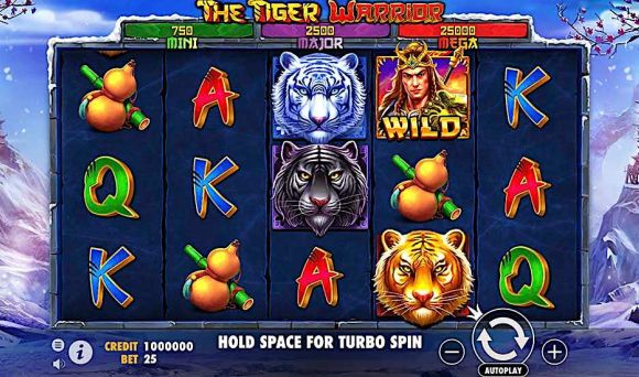 The Tiger Warrior